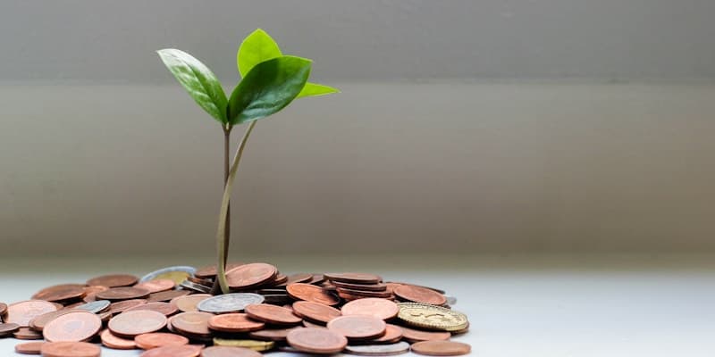 Financiamento estudantil (FIES): como funciona em 2026