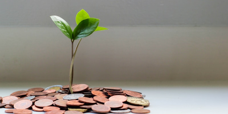 Financiamento estudantil (FIES): como funciona em 2026